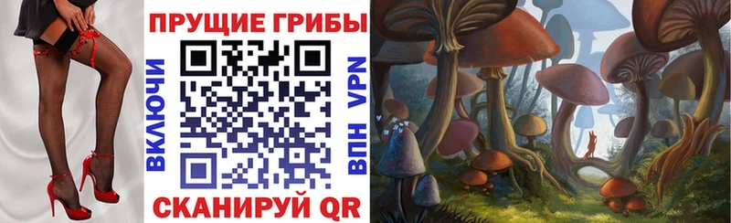 Галлюциногенные грибы Cubensis  KRAKEN ссылка  Кодинск 